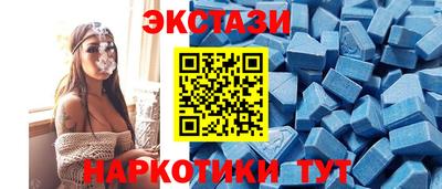 СК Рыбинск