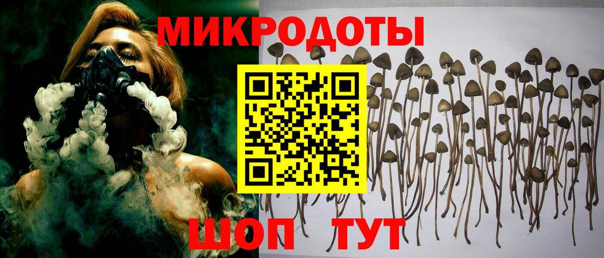 Галлюциногенные грибы Psilocybe  Вход с VPN  Нефтеюганск 
