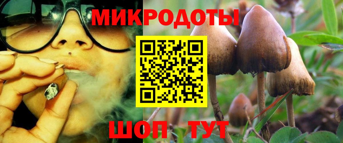 Галлюциногенные грибы мухоморы Нефтеюганск